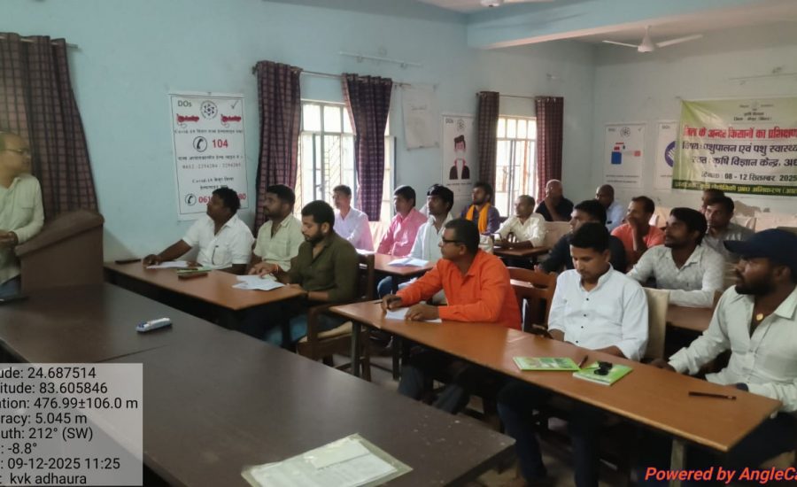 WhatsApp Image 2025-09-12 at 16.48.11