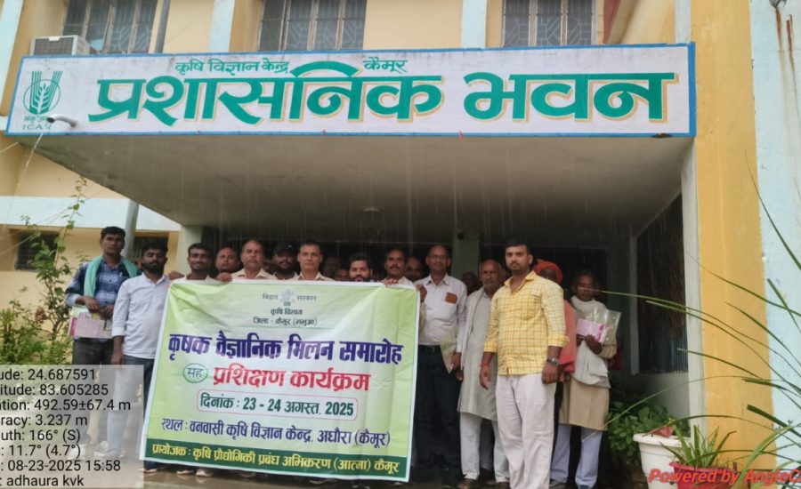 WhatsApp Image 2025-09-12 at 16.50.09 (1)